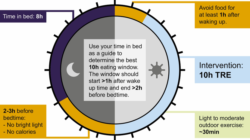 clock-like diagram illustrating time restricted eating